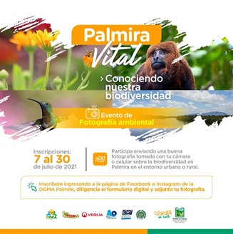 concurso fotografia