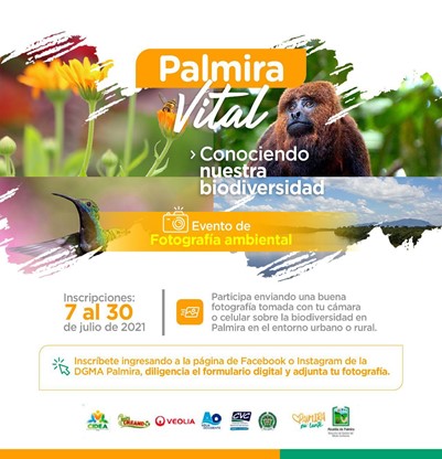 convocatoria fotografia