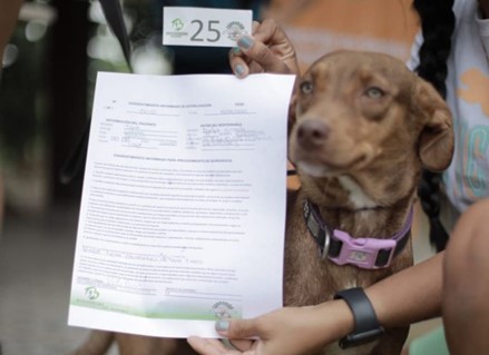 esterilizacion