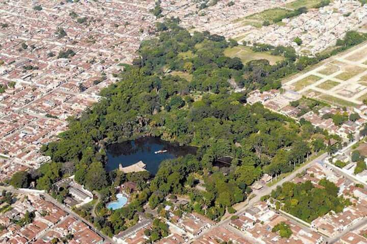 bosque