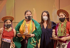 indigena